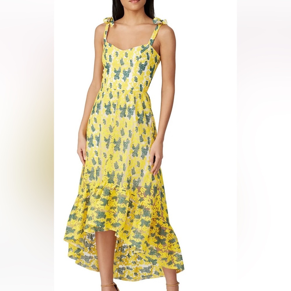 Dress the Population Wren Dress